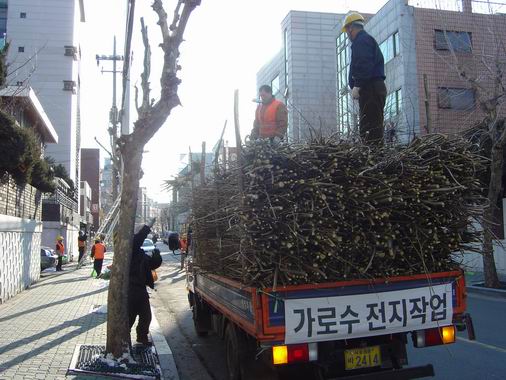 겨울의 잔흔을 치우다. 